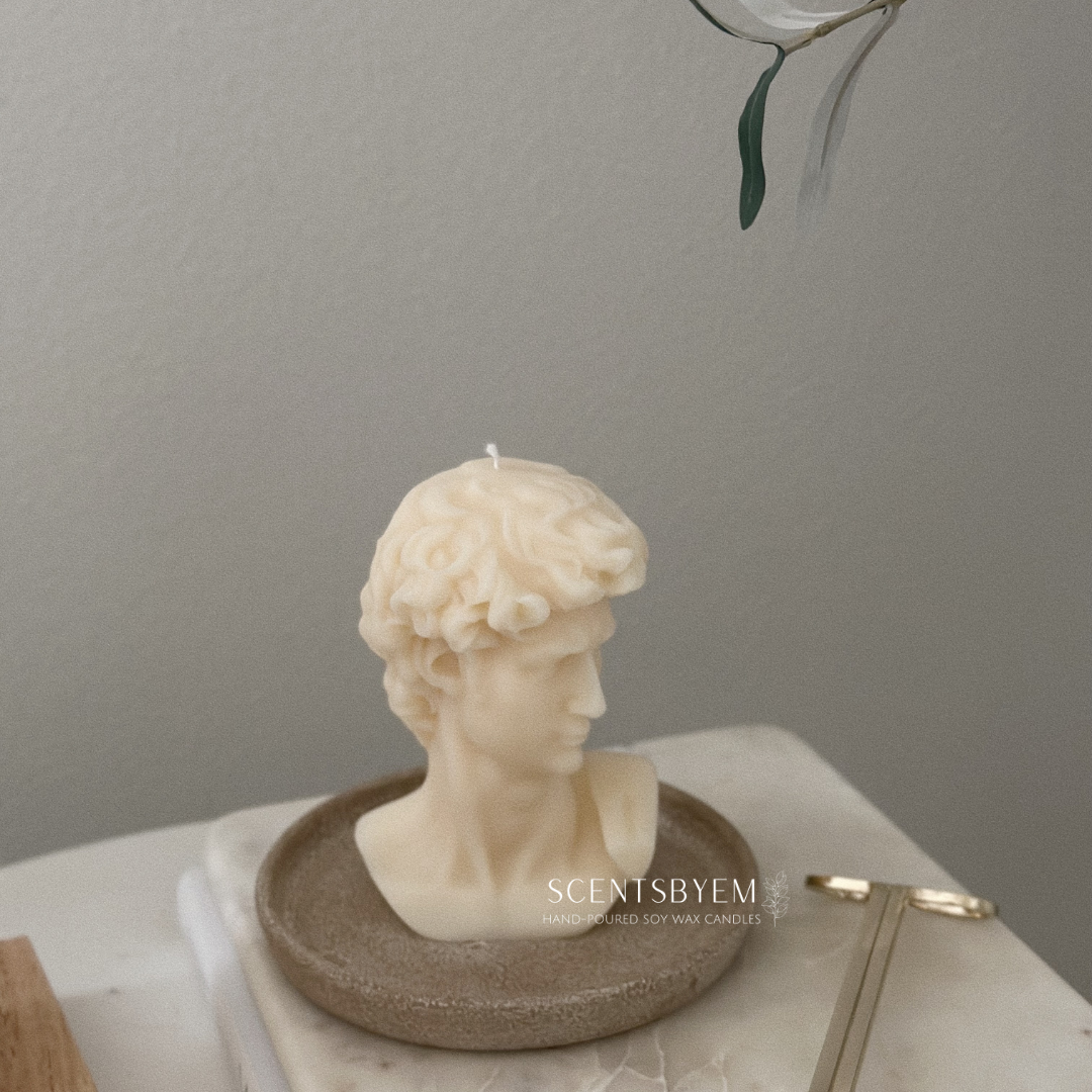 Davids Statue, David's Bust